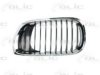 BMW 51137030545 Radiator Grille